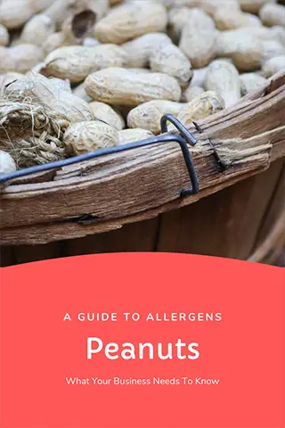 Guide to Allergens - Peanuts